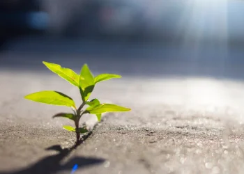 מרגישים שהמזל שלכם תקוע? ככה תשחררו את כל החסימות! 