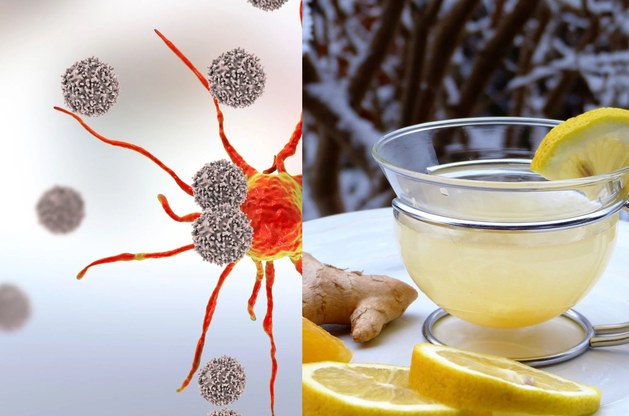 10 דרכים לשמור על מערכת חיסון בריאה ו'צעירה' 