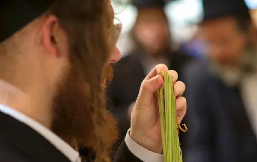 האם בשבת מברכים על ארבעת המינים? האם בשבת מברכים על ארבעת המינים?