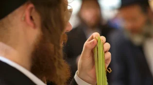 האם בשבת מברכים על ארבעת המינים?