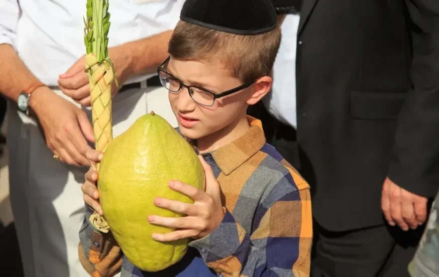 האם בשבת משתמשים בארבעת המינים? האם בשבת משתמשים בארבעת המינים?