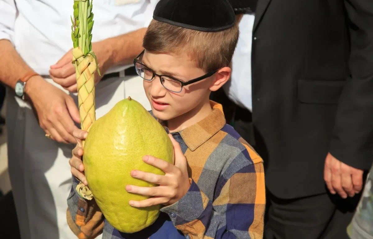 האם בשבת משתמשים בארבעת המינים?