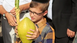 האם בשבת משתמשים בארבעת המינים?