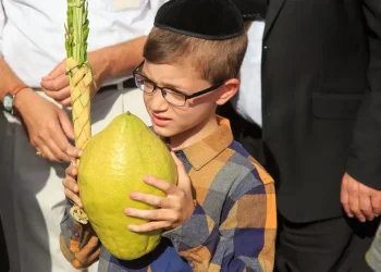 האם בשבת משתמשים בארבעת המינים?