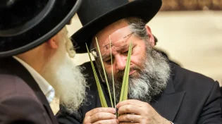 האם בשבת מברכים על הלולב?