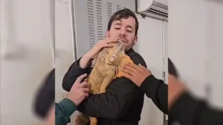 מדהים: בעל החיים בעל שלוש העיניים