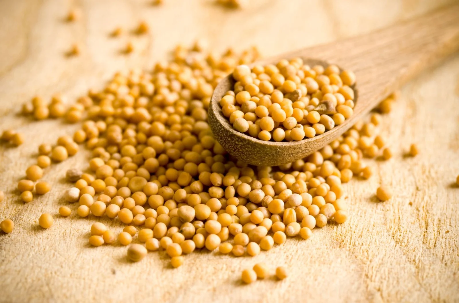 כך תשפרו את יכולת העיכול עם זרעים שיש לכולנו בבית כך תשפרו את יכולת העיכול עם זרעים שיש לכולנו בבית