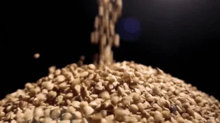 מזון העל החום והזעיר הזה יחולל נפלאות בגופכם 