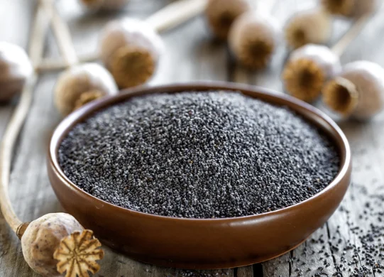 5 יתרונות בריאותיים מדהימים של זרעי פרג 5 יתרונות בריאותיים מדהימים של זרעי פרג