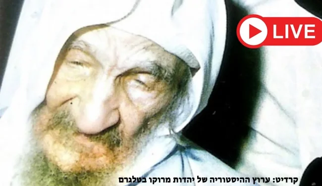 צפו בהילולת הבבא סאלי תשפ"ד בשידור חוזר