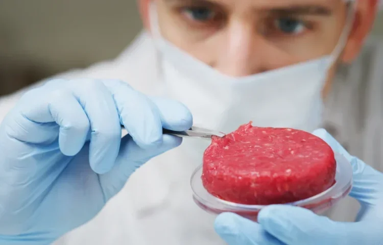 בשר מתורבת. אילוסטרציה בשר מתורבת. אילוסטרציה