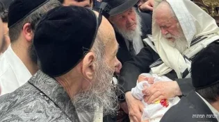 הברית לבן הנין של הרב זילברשטיין - הרב קוק שימש כמוהל