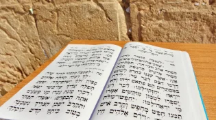 החטופה ששוחררה מהשבי חושפת: "קראתי את הפרק 30 יום"