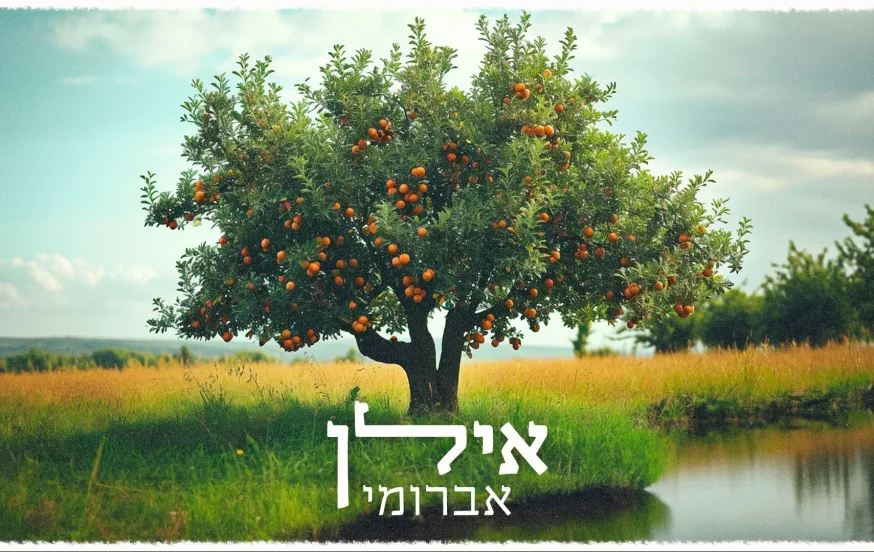 אברומי וינברג - "אילן" אברומי וינברג - "אילן"