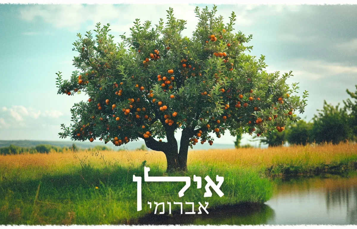 אברומי וינברג - "אילן"