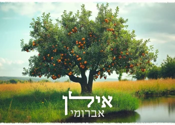 אברומי וינברג - "אילן"