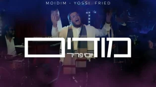 בסטייל השמור רק לו: יוסי פריד מפתיע עם סינגל קליפ חדש