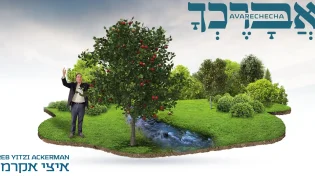 איצי אקרמן בסינגל חדש לט"ו בשבט "אברכך"
