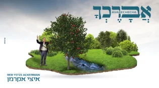 איצי אקרמן בסינגל חדש לט"ו בשבט "אברכך"