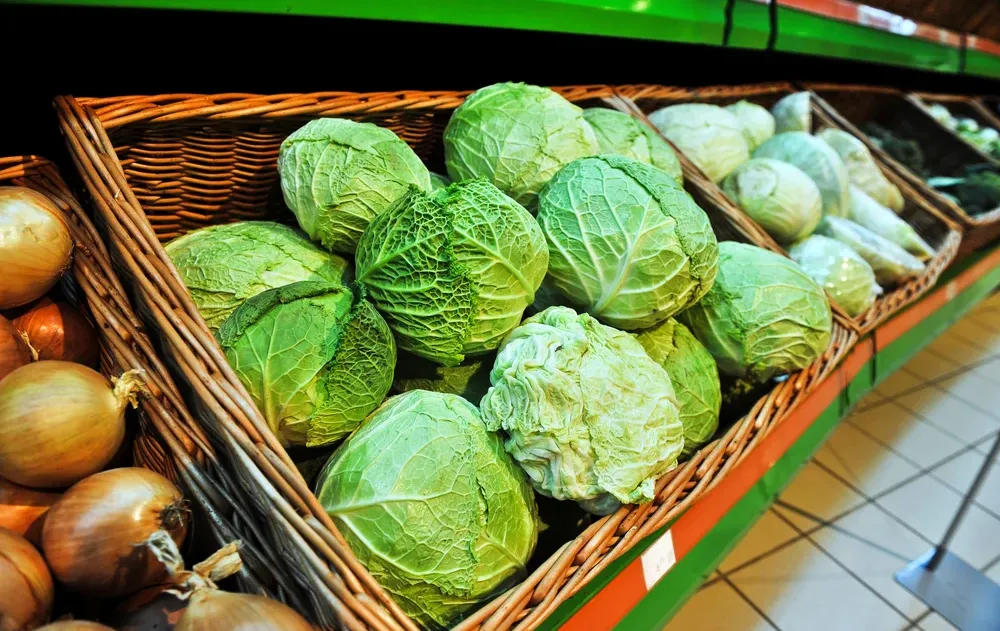 האם מותר לאכול חסה? האם מותר לאכול חסה?