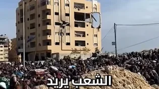 "להפיל את חמאס": הקריאות של העזתים שמפונים מחאן יונס
