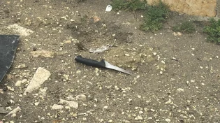 מחבל ניסה לדקור לוחמי צה"ל - וחוסל