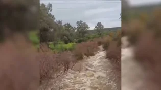 מדהים: התוצאות של הגשם ברמת הגולן 