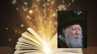 האדמו"ר מגור: "אל תסתכל בצלחת של מישהו אחר"
