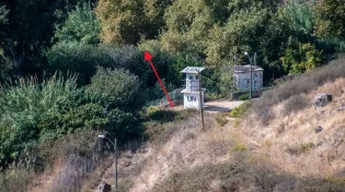 מדהים: איך מהעץ אפשר ללמוד מידת הענווה?