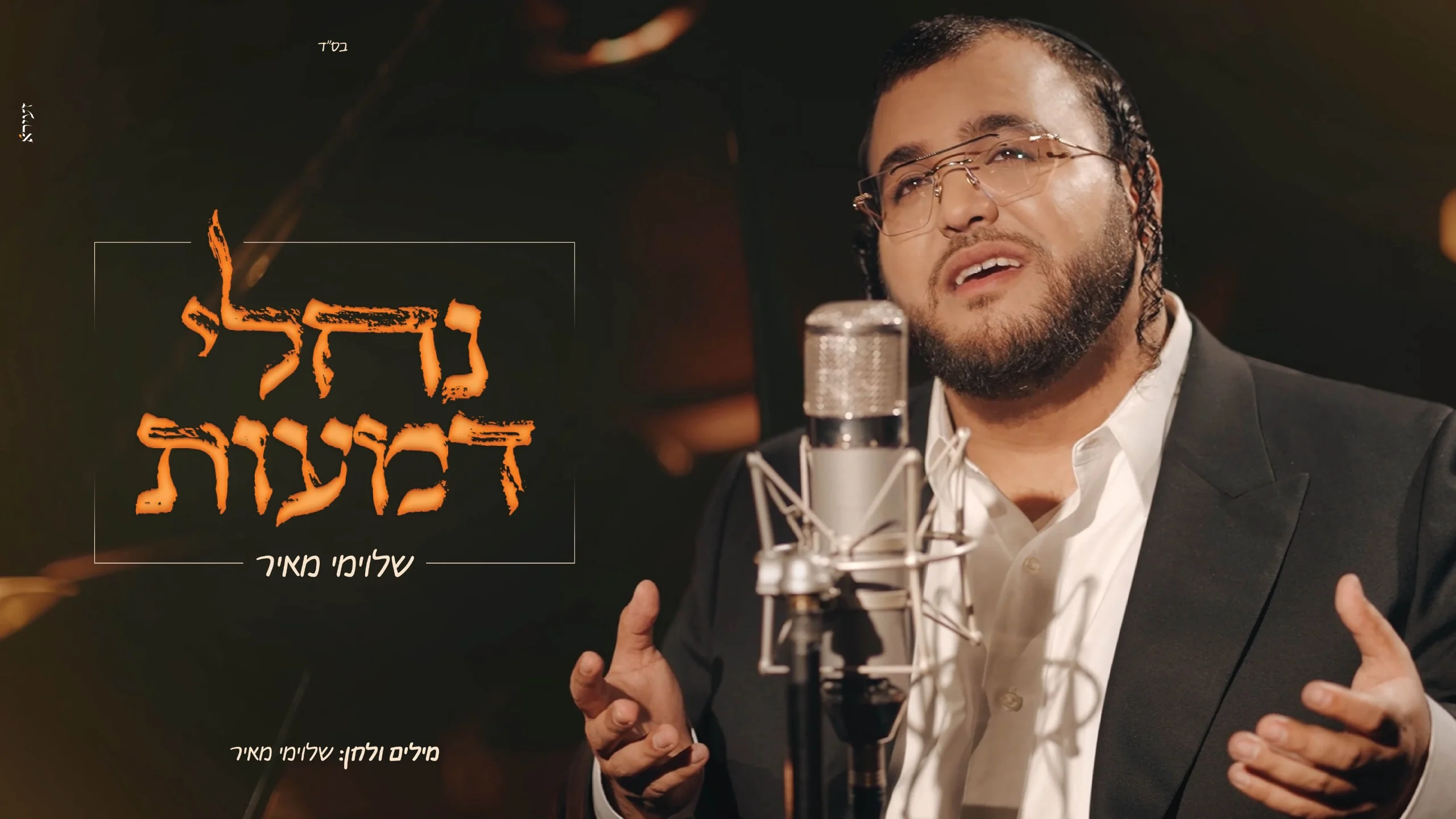 שלוימי מאיר - "נחלי דמעות"