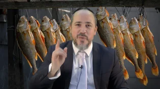 הרב אלעד גרין | מה יישאר ממך דגים מלוחים