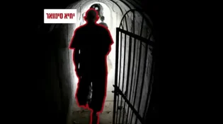 דובר צה"ל חשף את התיעוד החדש של יחיא סינוואר. צפו
