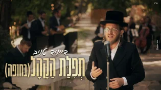 דייויד טויב בסינגל קליפ חדש העונה לשם "תפילת הקהל"