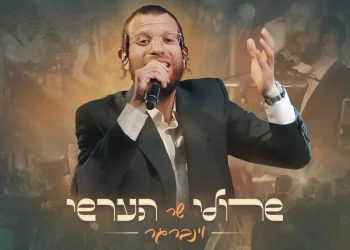 שרולי וינברגר - מחרוזת להיטי הערשי וינברגר