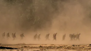 "הוא יוצא לעזה ויודע שאולי הוא לא יחזור"