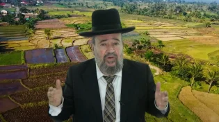 הערכה ופרגון | תצוה | הרב דוד הכהן מרא דאתרא גן יבנה