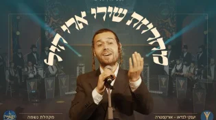 צפו בביצוע LIVE: מחרוזת שירי ארי היל מכל הזמנים