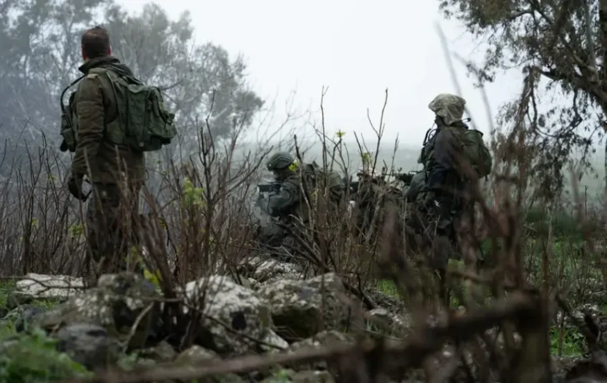 פעילות כוחות צה"ל בגבול הצפון פעילות כוחות צה"ל בגבול הצפון