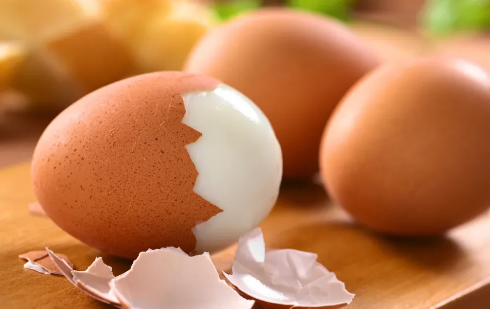 האם צריך כשרות לביצים?