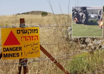 תיעוד מדהים: כך מפנים שדה מוקשים בגולן 