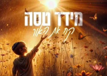 מידד טסה - "קח את האור"