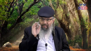 מטורף! התפלל לפרנסה כמה ימים ברצף וזה מה שקרה...