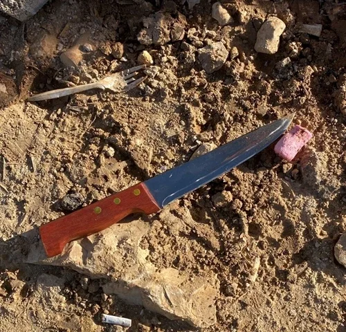 הסכין ששימשה את המחבל.