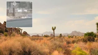 התושבים בהלם: תופעת טבע קוצנית מפתיעה את יוטה