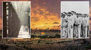 הרבי מלובביץ' לניצולת השואה: "תעלי מיד לירושלים"
