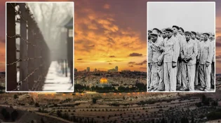 הרבי מלובביץ' לניצולת השואה: "תעלי מיד לירושלים" 