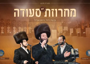 משה דוד וייסמנדל, מקהלת נשמה ויענקי לנדאו - מחרוזת סעודה #1