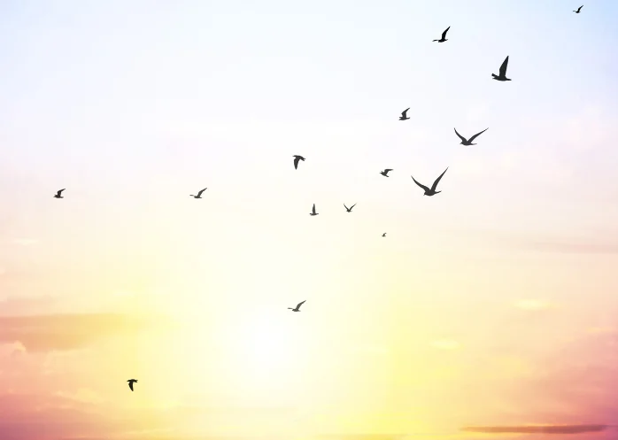 המת שקם לתחייה מספר מה ראה בעולם האחר המת שקם לתחייה מספר מה ראה בעולם האחר