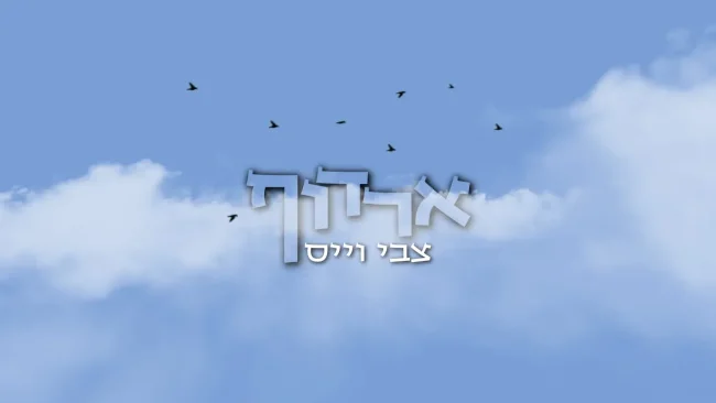 צבי וייס ירדוף וישיג: "ארדוף"
