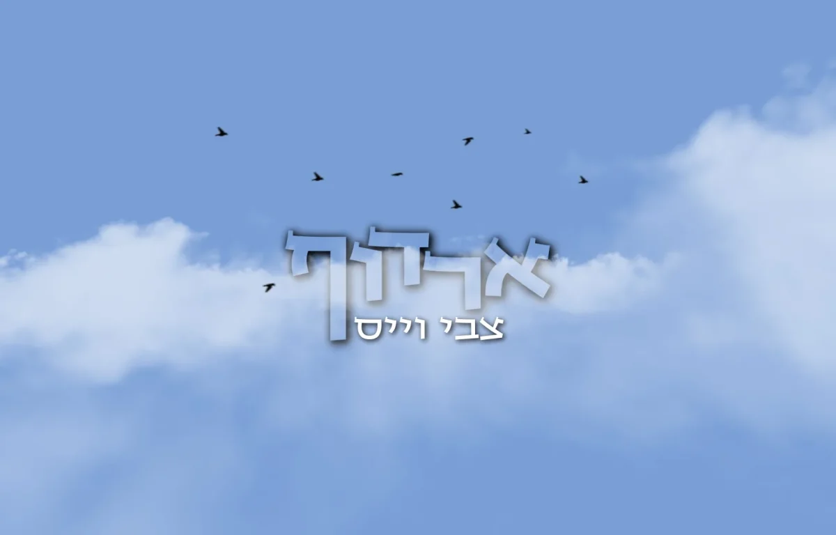 צבי וייס – "ארדוף"